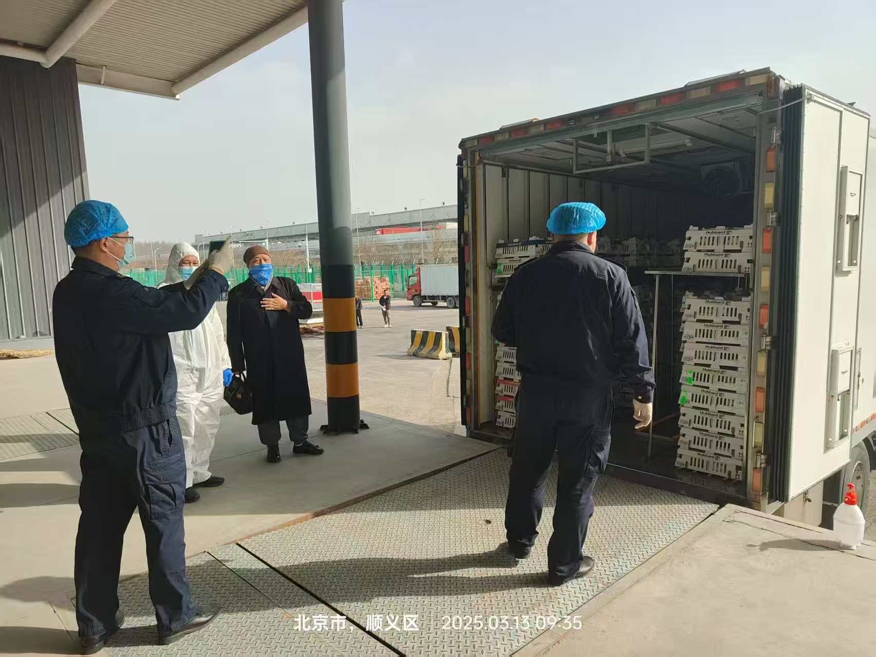 ֡ϲѶNGƷɷݴӷĵڶּҳ䶨