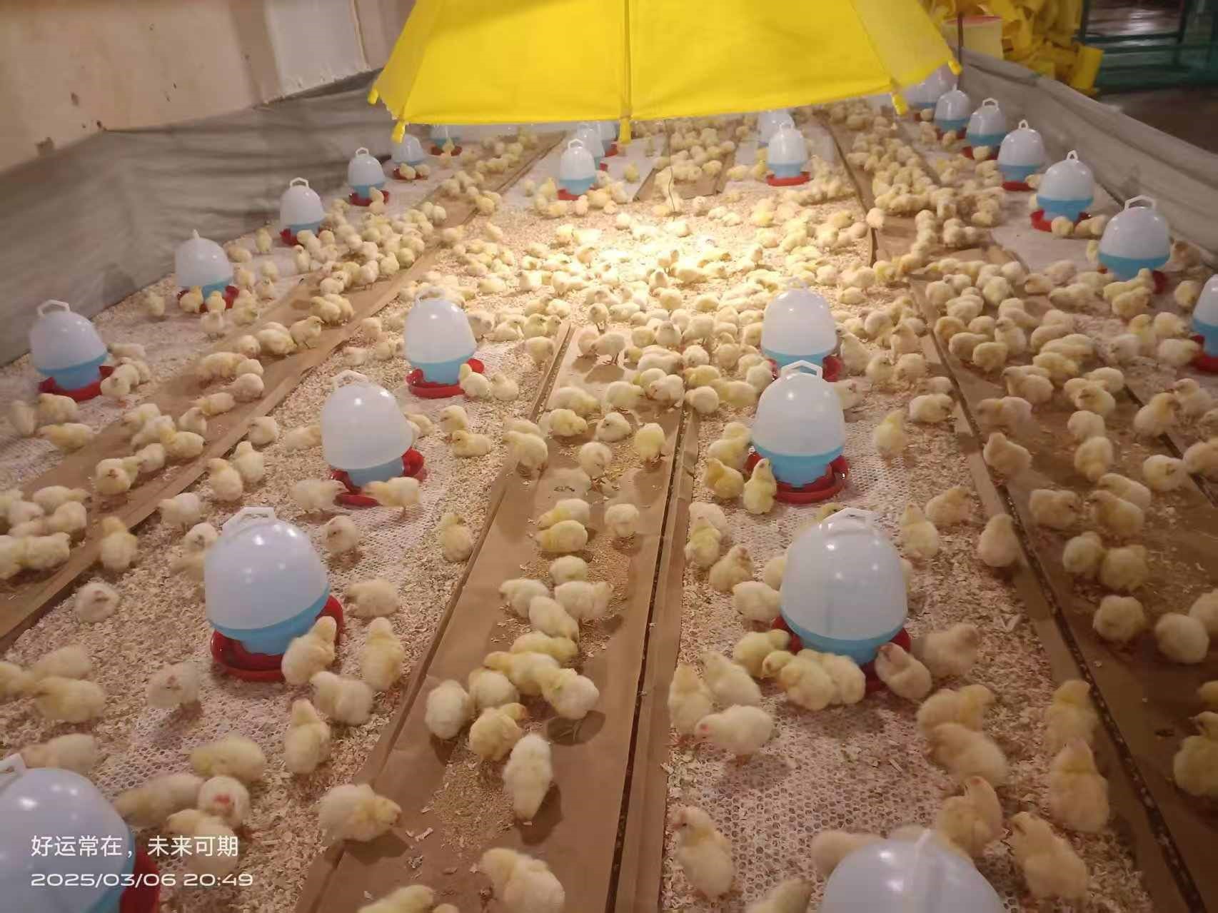 ΢ÐÅͼƬ_20250307124636.jpg ΢ÐÅͼƬ_20250307124636.jpg