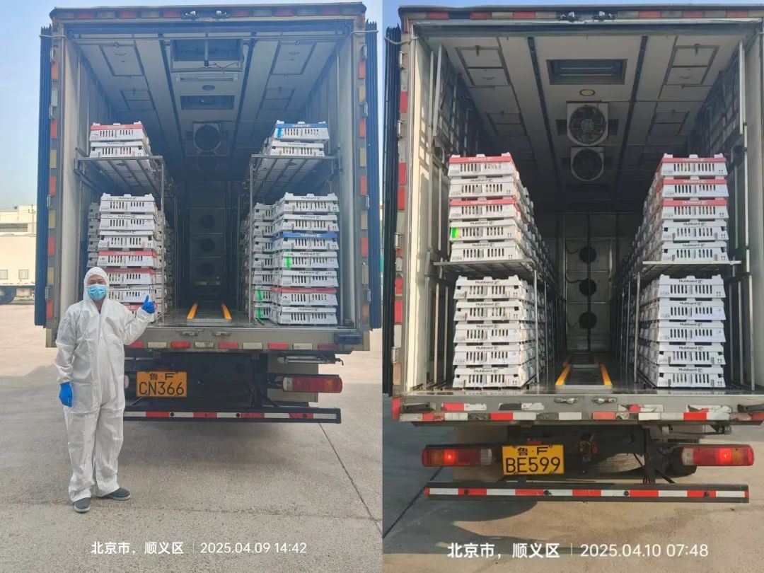 ֡ȷ縺ʳ徲ΡNGƷɷݵ˳