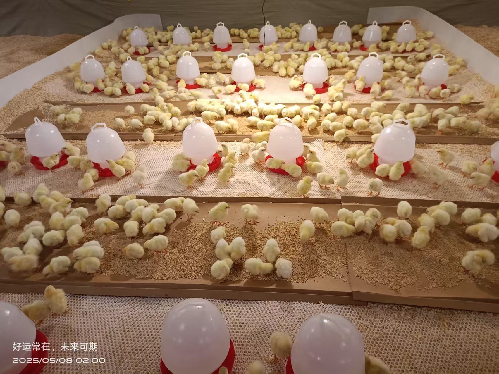 ϲѶNGƷɷݰ⼦ Դսιҵ