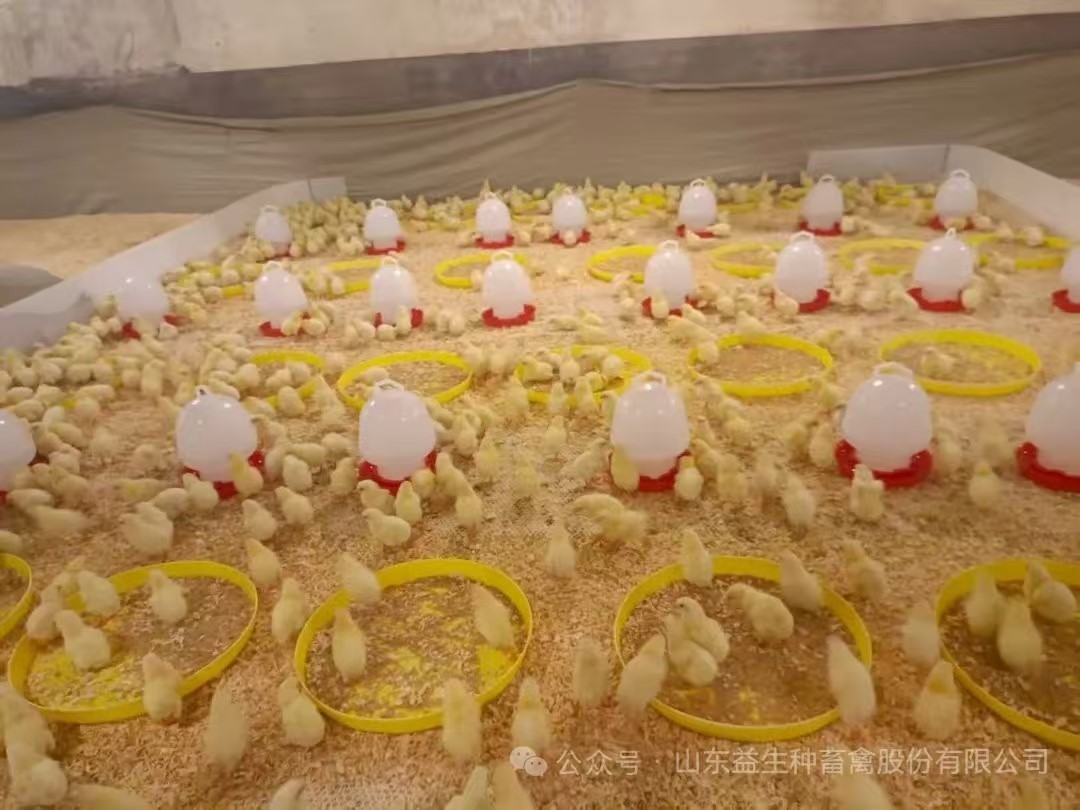 ֡ϲѶNGƷɷڵھ˳ɣ1.6ֳּ볡