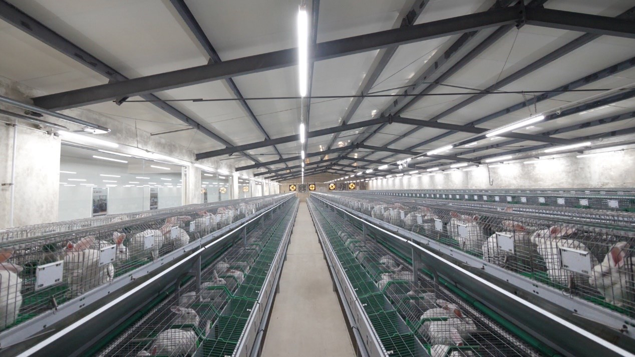 ͼƬ14.jpg ͼƬ14.jpg