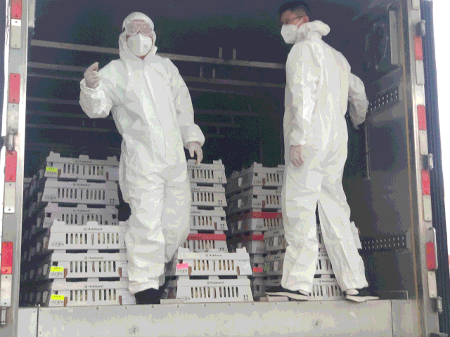 ΢ÐÅͼƬ_20200910144649.gif ΢ÐÅͼƬ_20200910144649.gif