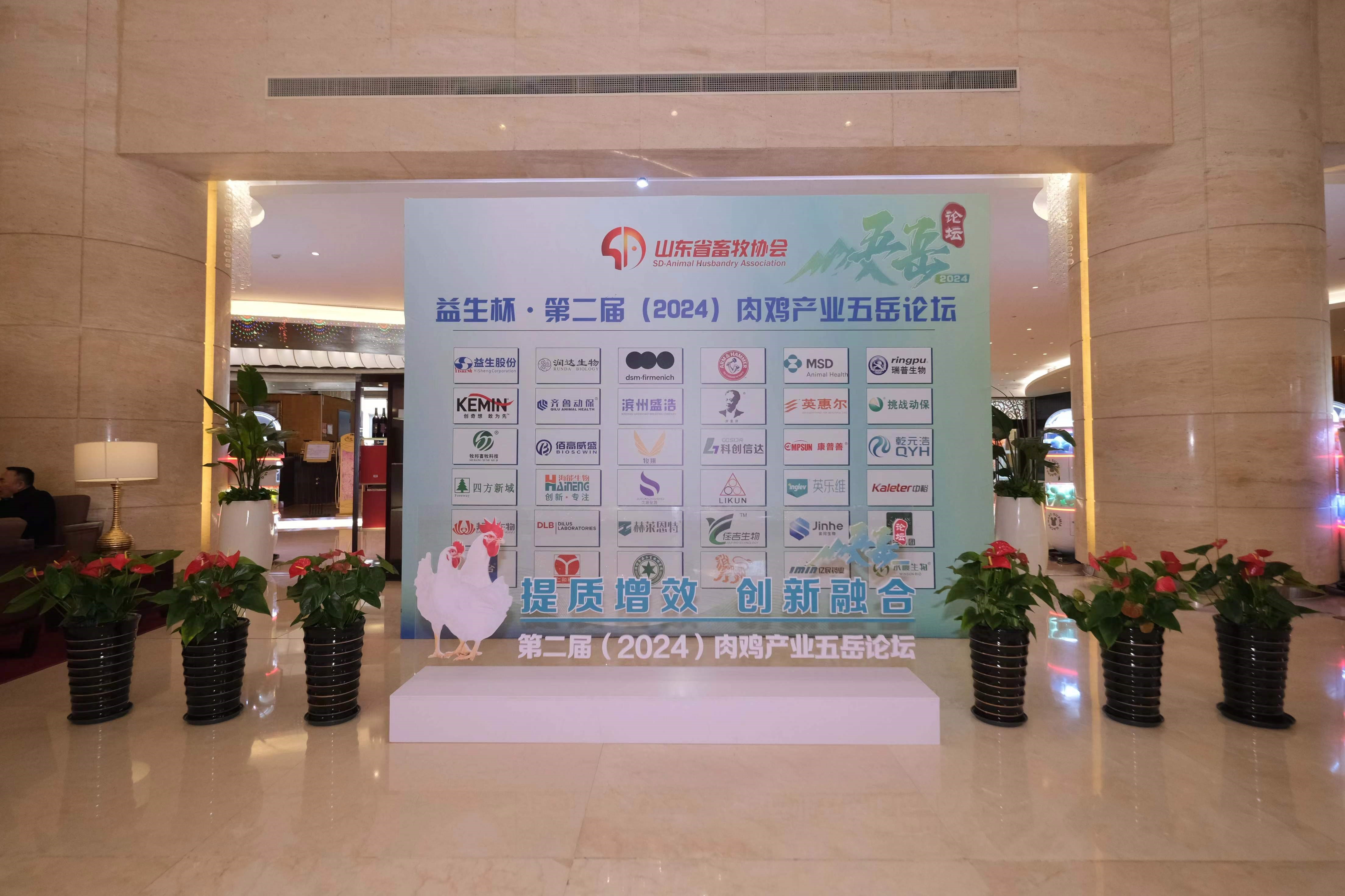 ۻ᡿NGƷ-ڶ죨2024⼦ҵ̳ɽ⼦ʢٿ