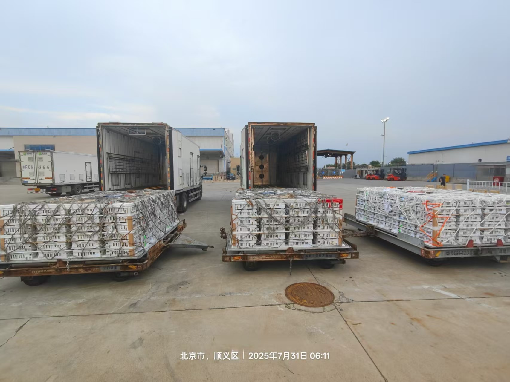 ΢ÐÅͼƬ_20250731155534.jpg ΢ÐÅͼƬ_20250731155534.jpg