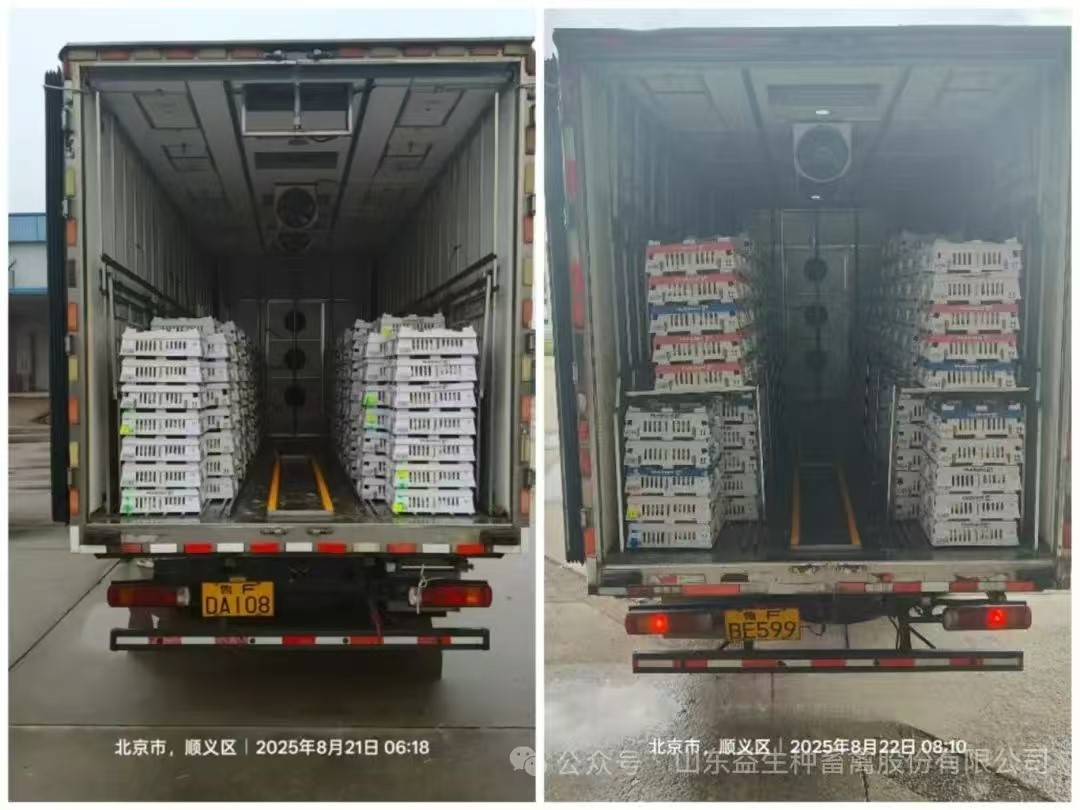 ΢ÐÅͼƬ_20250823142340.jpg ΢ÐÅͼƬ_20250823142340.jpg