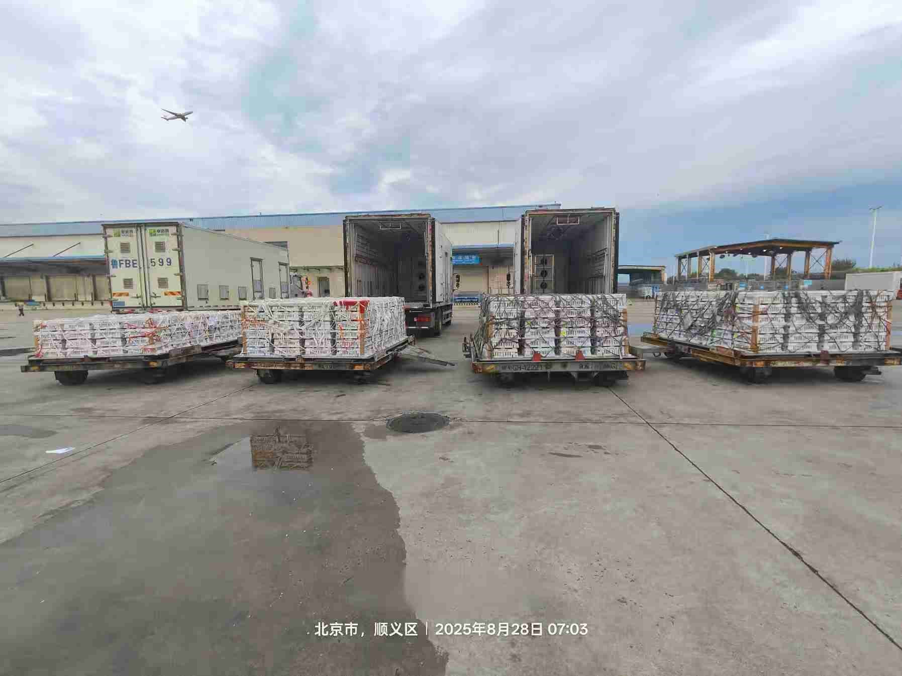 ΢ÐÅͼƬ_20250829163931.jpg ΢ÐÅͼƬ_20250829163931.jpg