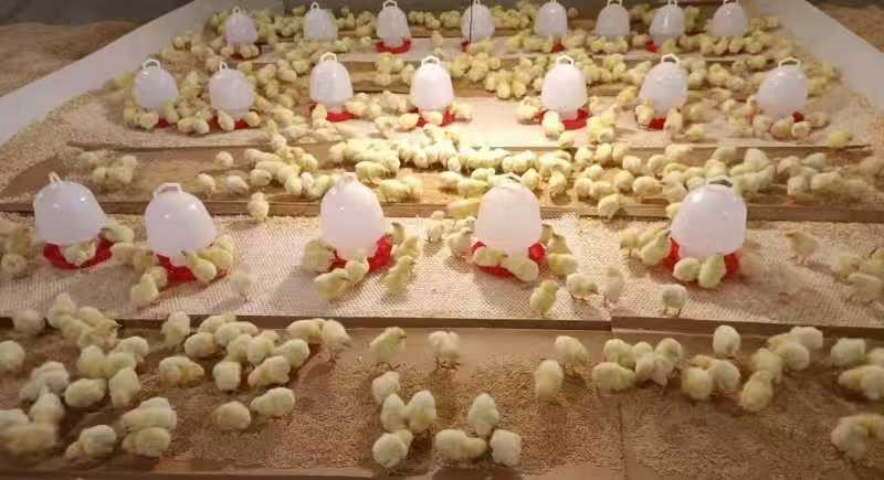 ΢ÐÅͼƬ_20250829164239.jpg ΢ÐÅͼƬ_20250829164239.jpg