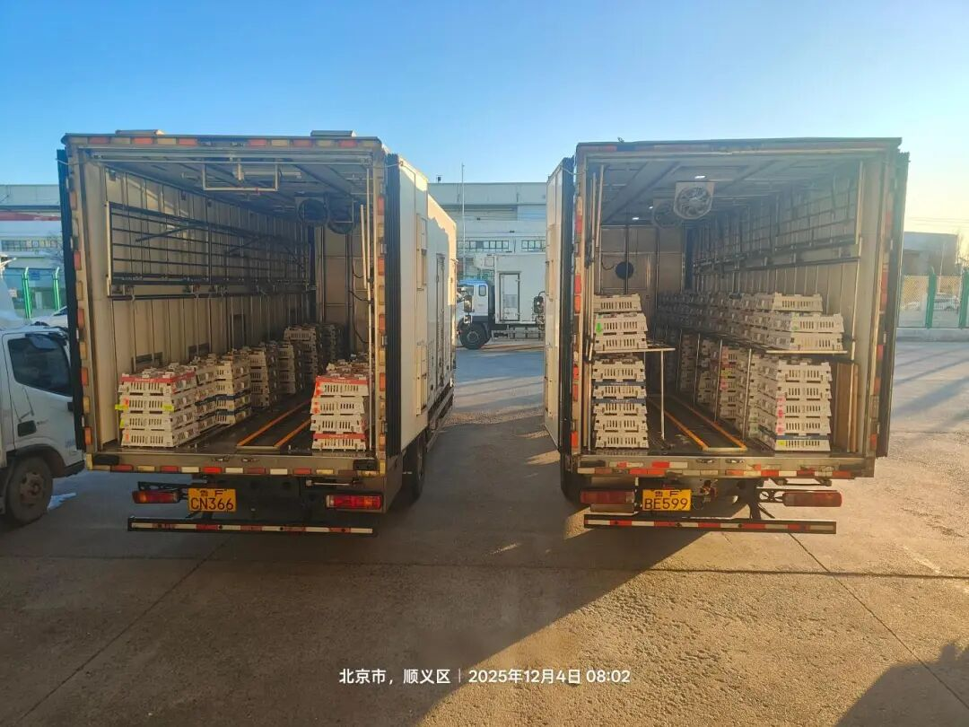 [引种】NG娱乐相信品牌力量官网股份再度引进法国种源，，，，，，，龙头职位牢靠包管工业稳固