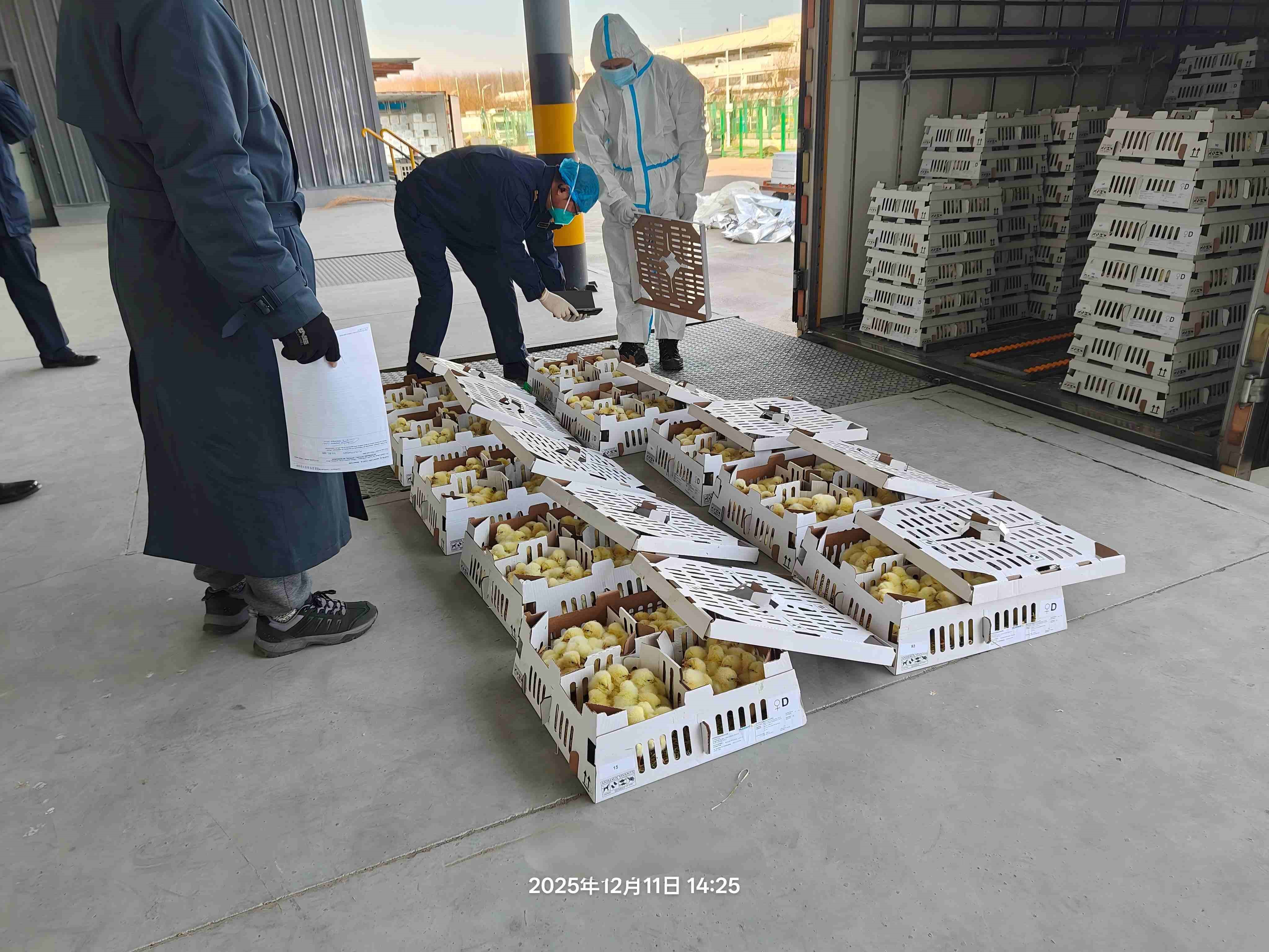 【喜讯】NG娱乐相信品牌力量官网股份年度引种圆满收官，，，，，，，累计引种量高达26.6万套